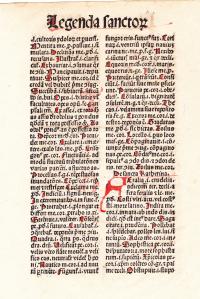 1494 Latin Mammotrectus